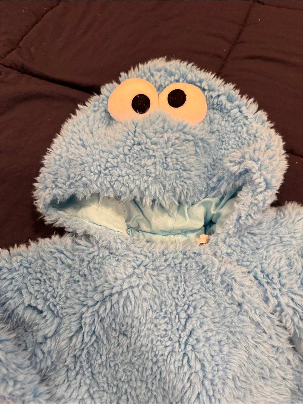 Pottery Barn Kids Light Blue Plush Character Hooded Costume
